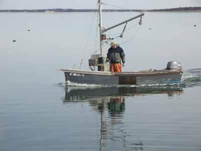 Shellfish farmer checking shellfish lease in small skiff